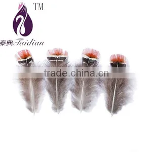Decorative Red Feathers for Clothing/wedding Dress,pheasant Plumage Feathers thumbnail-1