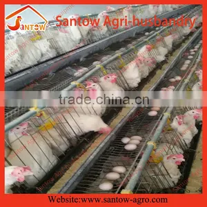 Chicken Use Welded Wire Chicken Layer Cages Types of Battery Cage System thumbnail-4