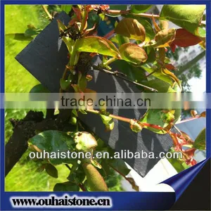 Eco-friendly Natural Slate Stone Plant Label With Wooden Stick thumbnail-5