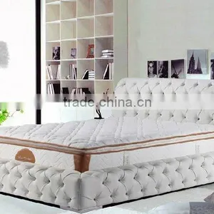 Fresh Design Green Bed for Pets Soft Dog Bed Pet Product thumbnail-1