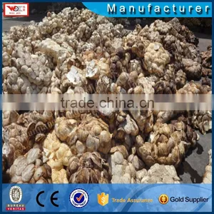 Automatic Rubber Molding Machine for Rubber Pressing With Engineers Available to Service Machinery Overseas/rubber Creper thumbnail-5