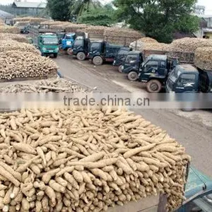 Native Cassava Starch thumbnail-2