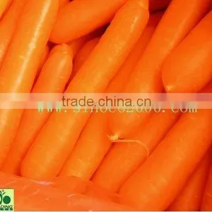 Dried Carrot thumbnail-1