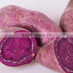 Fresh Sweet Purple Potato/red Skin Potato thumbnail-2