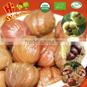 Roasted Peeled Chestnuts Snacks,Ready to Eat Snacks, Organic Snacks for Sale thumbnail-2
