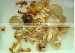 Canned Mixed Mushrooms thumbnail-1