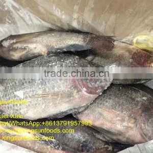 Whole Sale High Quality Frozen Whore Round Tilapia Fish thumbnail-2