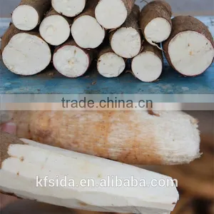 Garri Processing Machine Garri Fryer Factory thumbnail-5