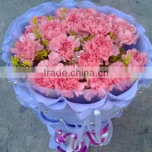 20 Pcs/ Bundle Fresh Carnation Fragrant Carnation Flower High Quality thumbnail-5