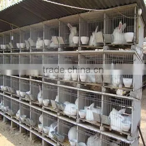 Rabbit Cage Metal thumbnail-1