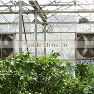 Worldwise Best Quality Exhaust Fan for Poultry House and Greenhouse Made in China thumbnail-4