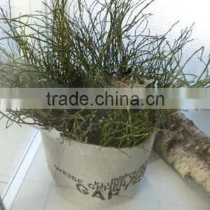 Jute Planter Bag thumbnail-1