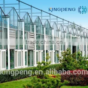 Glass Greenhouse for Agricultural (ISO9001:2000) thumbnail-2
