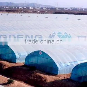 Tunnel Greenhouse for Sale thumbnail-3