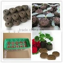 Nutritive Seeding Block Press Machine With Hihg Efficiency thumbnail-2