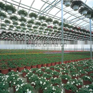 Polycarbonate Sheet Greenhouse for Flowers thumbnail-1
