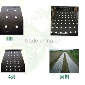 Perforated Black Plastic Film thumbnail-1