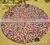 Customized Felt Ball Rug thumbnail-1