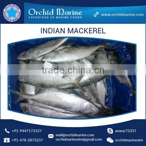 A Grade Good Taste Canned Indian Mackerel Fish Supplier thumbnail-5