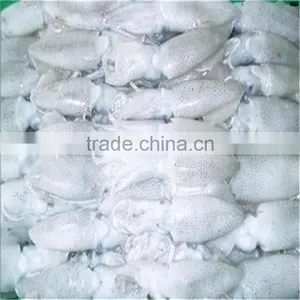 Frozen BQF Whole Baby Squid With Cheap Price thumbnail-1