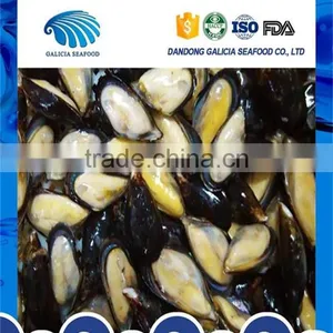 Yummy Frozen Half Shell Mytilus Edulis Mussels Meat With Lower Price thumbnail-1