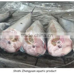 BQF Cheap Price Good Quality Frozen Pacific Mackerel thumbnail-2
