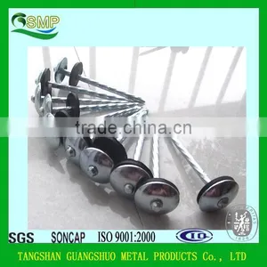 Umbrella Head Plain and Twisted Galvanized Roofing Nail thumbnail-1