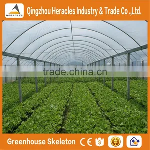 Heracles Economical Plastic Commercial Low Cost Multi Span Plastic Greenhouses With Automatic Irrigation System thumbnail-2