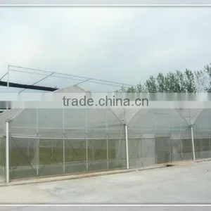 Hot Sale Film Vegetable Greenhouse With Insect Proof Screen thumbnail-1