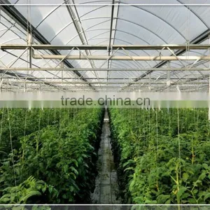 Long Life Multi Span Plastic Film Greenhouse for Hydropnonic Agriculture thumbnail-2