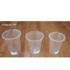 Sell Disposable Cup thumbnail-1