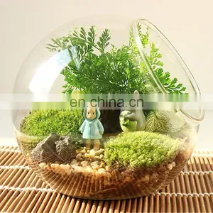 Terrarium Glass Terrarium Round Clear Glass Globe Ball Terrarium Planters Container Glass Flower Vase thumbnail-1