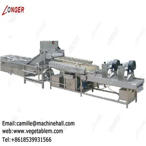 Fruit and Vegetable Washing Machine Manufacture|Tomato Washer|Spinach Cleaning Machine thumbnail-4