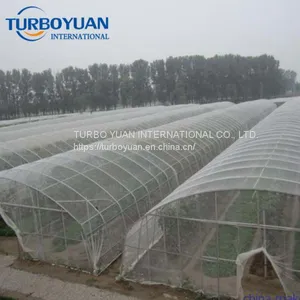HDPE Anti Insect Mesh / Fiberglass Insect Screen in China thumbnail-1