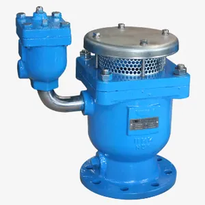 Air Release Valve thumbnail-1