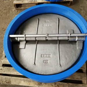 Cast Iron Wafer Type Butterfly Check Valve Ductile Iron CF8 Disc Check Valve thumbnail-1