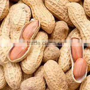 Red Skin Peanut thumbnail-1