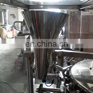 GD-8-200 Automatic Rotary Given Bag Packing Machine thumbnail-6