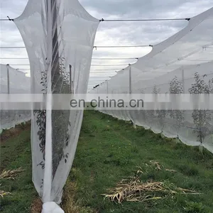 Transparent 40x25 50x25 Agricultural Insect Net Anti Insect Net thumbnail-5
