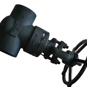 Hot Sell API 602 A105 Carbon Steel Outside Stem Gate Valve Dn50 Class 800 Flange Model J61H CHX Low Temperature Water thumbnail-2