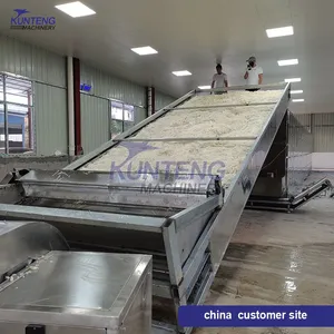 Automatic Continuous Garlic Onion Turmeric Powder Drying Production Line Dried Ginger Powder Machine thumbnail-2