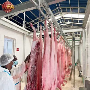 50–1000 Heads Per Day Pig Slaughter Production Line Turnkey Hog Butchery Equipment Project thumbnail-1