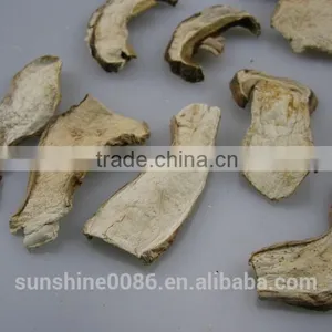 Organic Dried Porcini Boletus Mushroom thumbnail-6