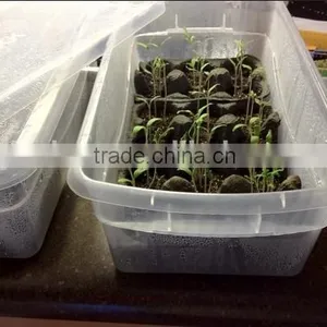 Bamboo Nursery Container thumbnail-1