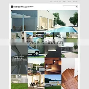 Website Design & Development thumbnail-2