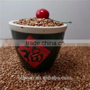 High Quality Hot Sale Black Bitter Buckwheat for Tea (Fagopyrum Esculentum) thumbnail-6