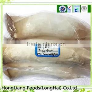 White Fresh King Oyster Mushroom /Pleurotus Eryngii thumbnail-1