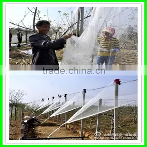 HDPE Anti Hail Protection Net Apple Tree Net thumbnail-6