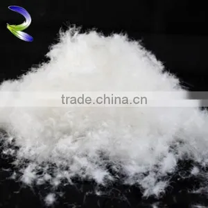 5 Star Hotel Used Washed White Goose Feather for Wholesale thumbnail-1