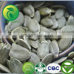 GWS Scientific Name Of Seeds Pumpkin thumbnail-1